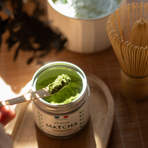 CHASHAKU - CUILLÈRE EN BAMBOU POUR LE THÉ MATCHA