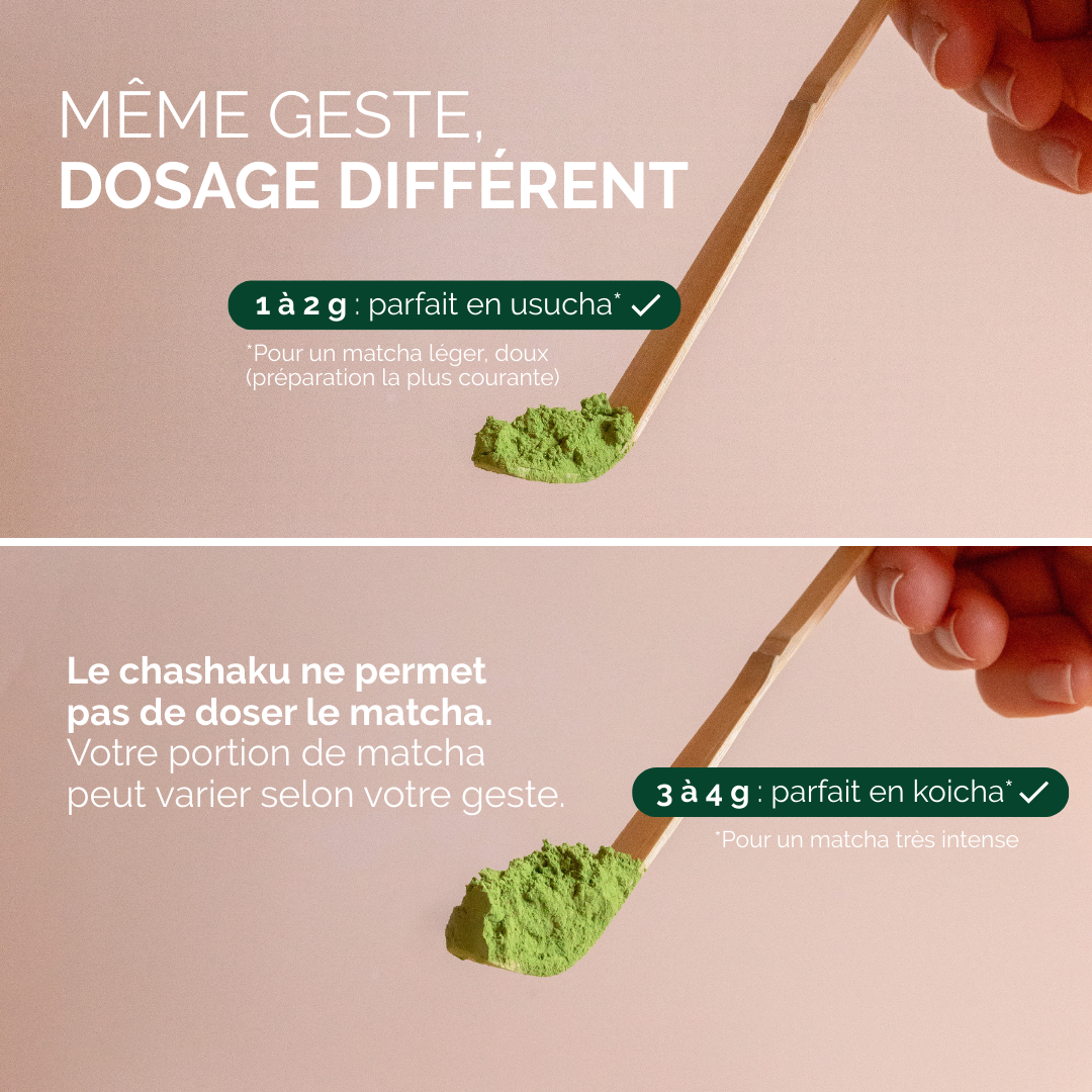 CHASHAKU - CUILLÈRE EN BAMBOU POUR LE THÉ MATCHA