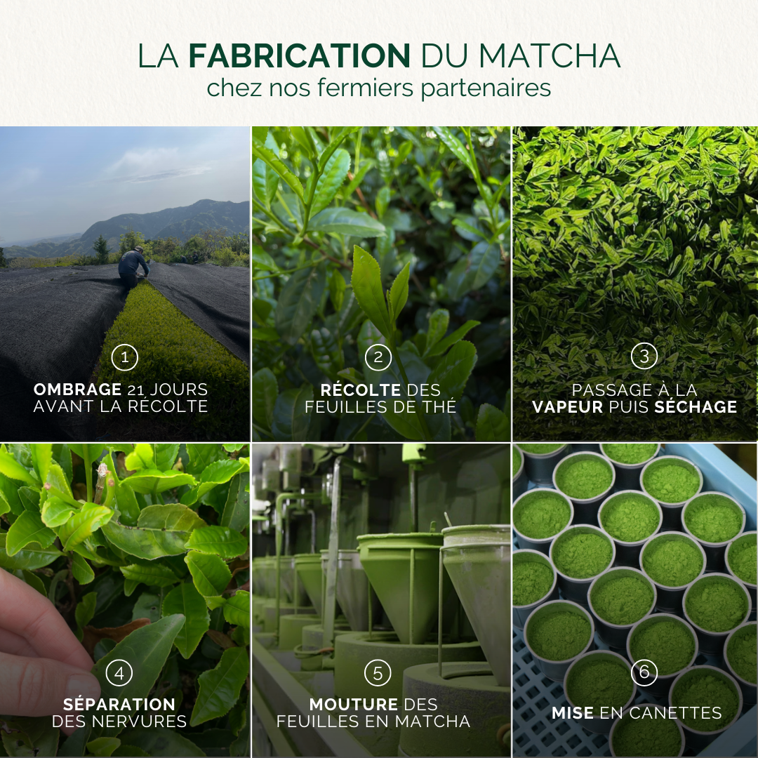 KIT MATCHA : THÉ MATCHA CÉRÉMONIE BIO ET FOUET EN BAMBOU CHASEN